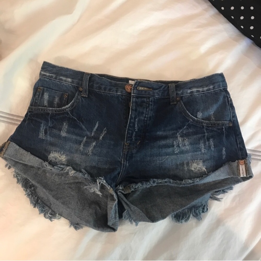 One Teaspoon Bandits